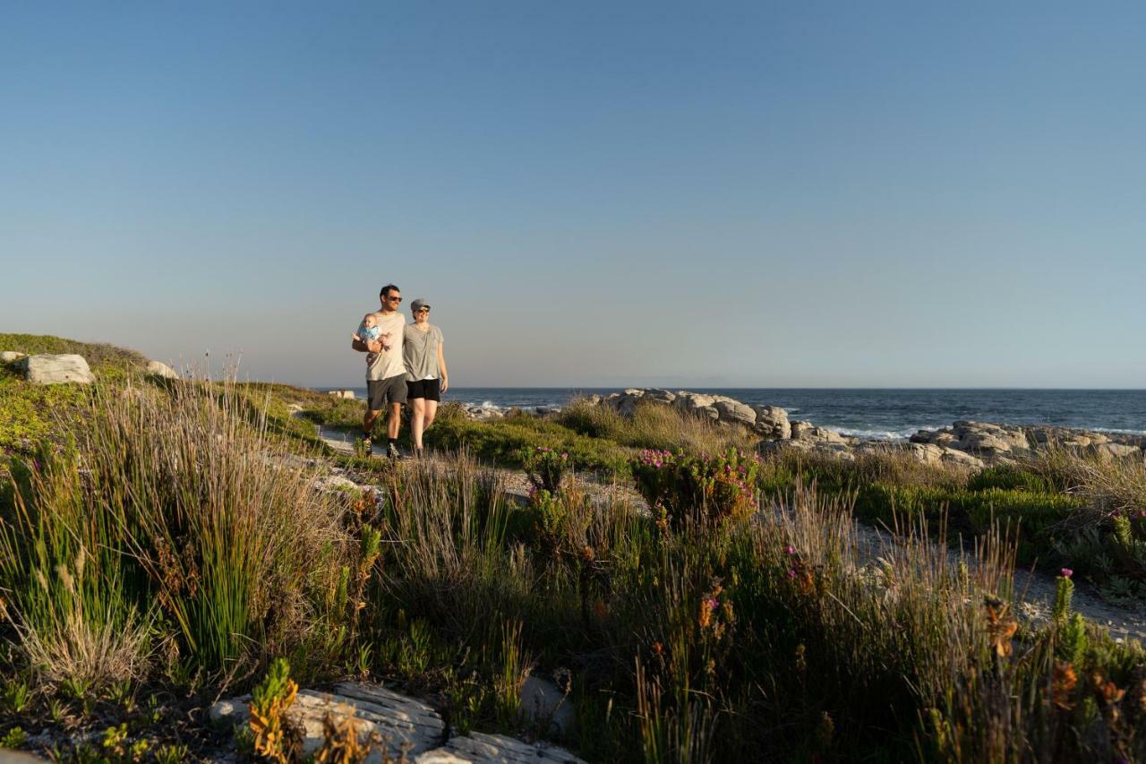Nothing But View Daire Hermanus Dış mekan fotoğraf